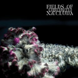 UBUNTU - FIELDS OF NÆCLUDA