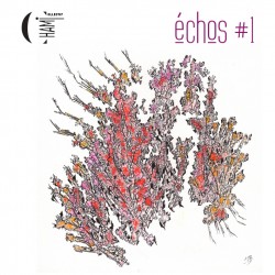 ECHOS - CHAMI